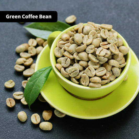Green Coffee Bean Extract