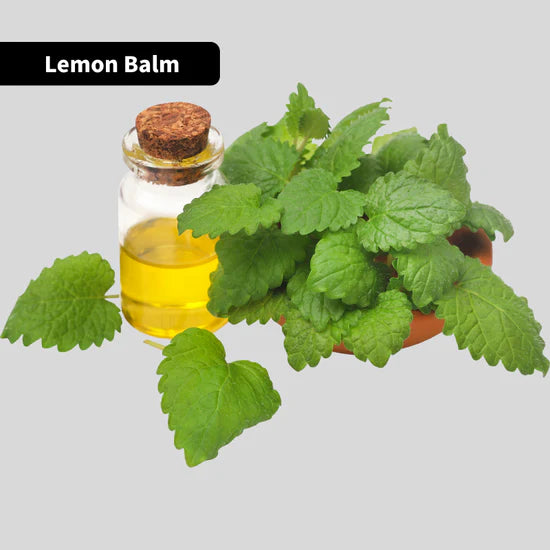 Lemon Balm & Valerian Root