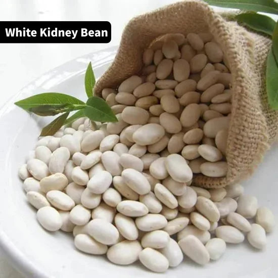 White Kidney Bean Extract